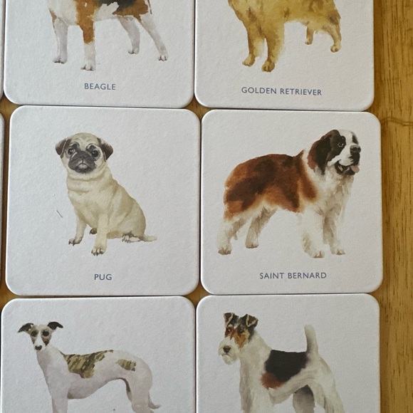 Laurence King Dog Coasters. Set of 16. New in Box - Picture 4 of 12